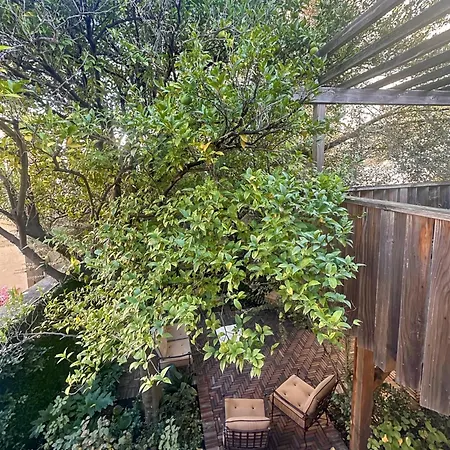 Des Lices * Σαιν-Τροπέ